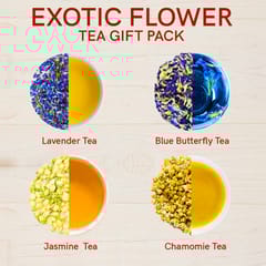 TEACURRY Exotic Flowers Gift Pack - Tea Gift Set (16 Tea Bags)