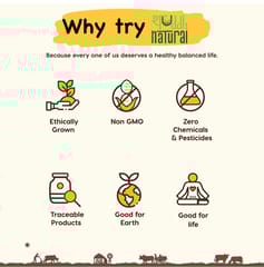 LAKADONG TURMERIC (HALDI) Powder High Curcumin Certified Single Origin (100 gms)