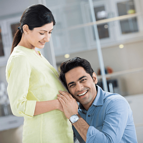 Pregnancy Optima  Plan