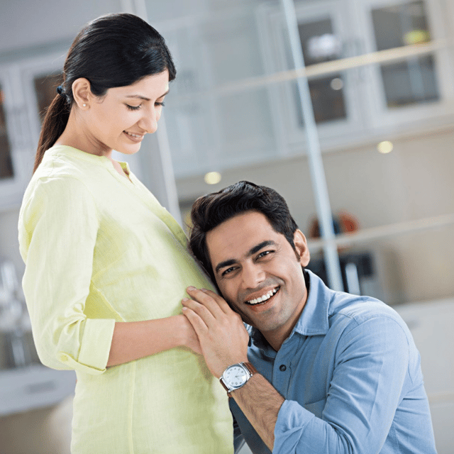 Pregnancy Optima  Plan